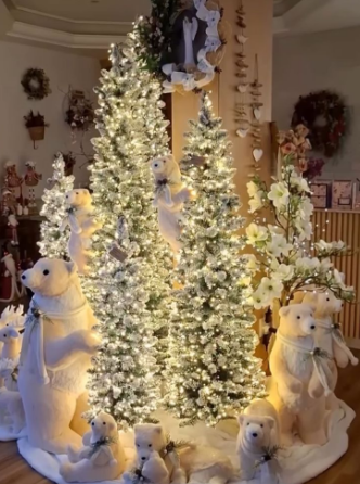 Família de Ursos - Vale Nevado